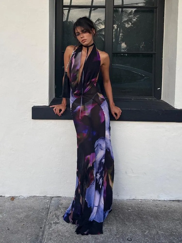 Sheer Fashion Dress
